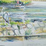 Heron on Lune Weir, Halton. Watercolour sketch