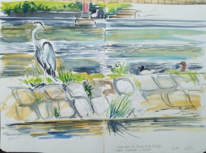 Heron on Lune Weir. Watercolour. 2014