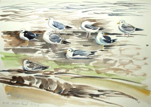 Gulls at Marsh Point. Watercolour. 2013