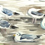 Gulls at Marsh Point (detail). Watercolour sketch. 2013.