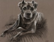 'Brandy'. Pastel and charcoal