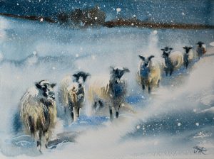 Snowy Sheep. Watercolour