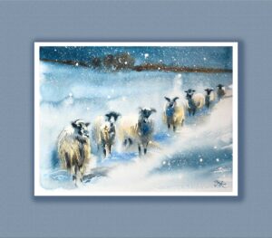 Fine art print 'Snowy Sheep', Watercolour