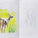 Red Deer, watercolour sketch