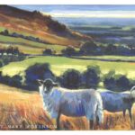 Acrylic Painting of Swaledale Sheep near Nicky Nook, Forest of Bowland