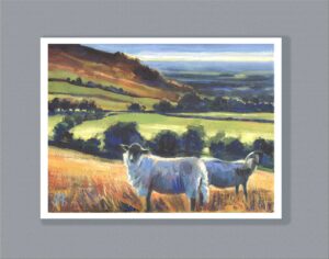 Sheep near Nicky Nook, Forest of Bowland. Limited edition fine art print.