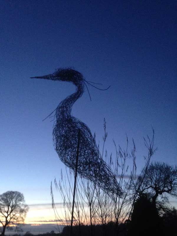 Silhouetted against a beautiful winter sunset -heron in progress.