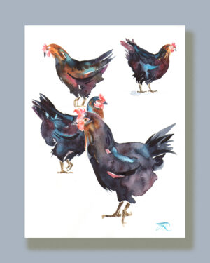 'Black Rock Chickens' Contemporary Watercolour Fine Art Print, 30 x 40 cm