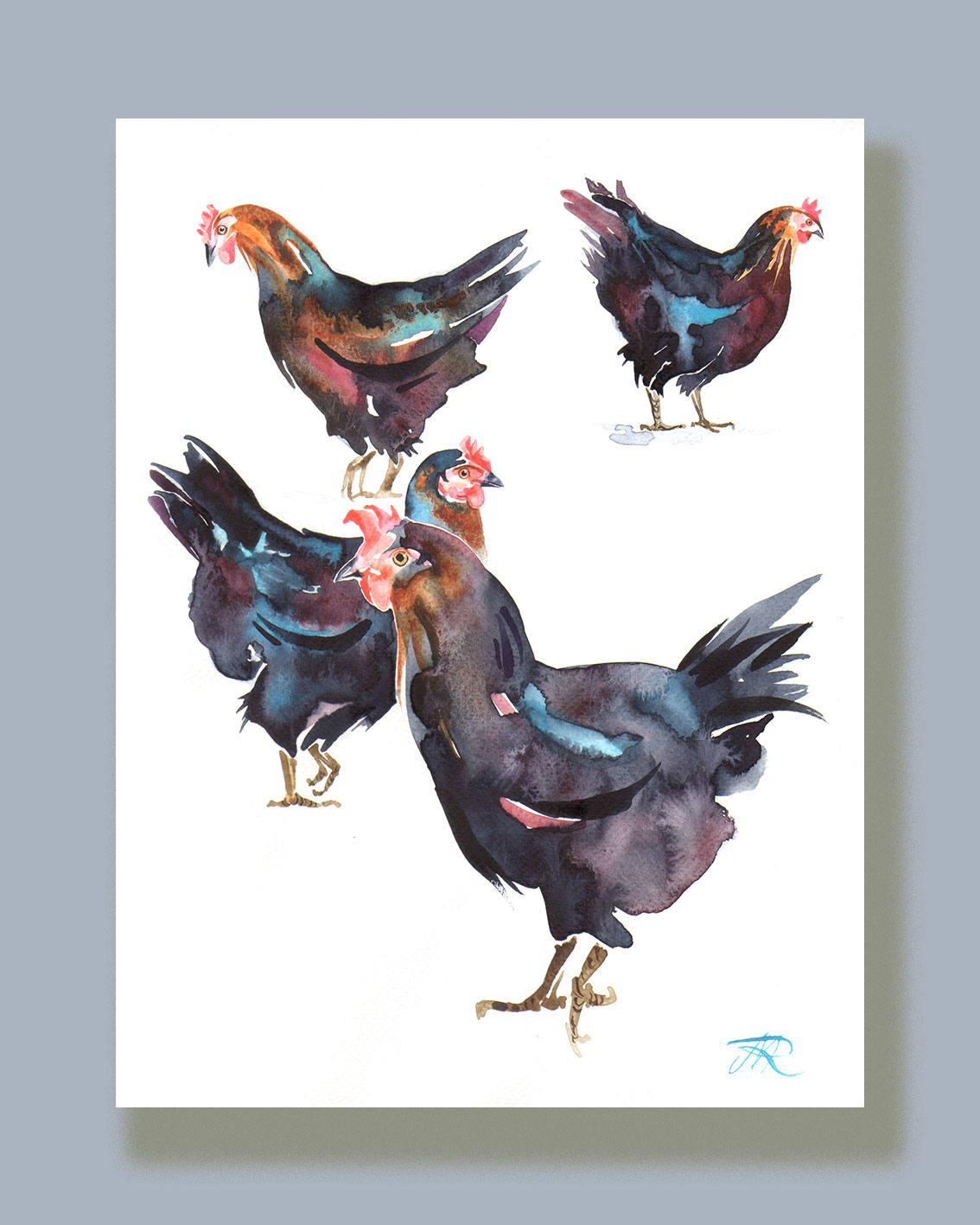 'Black Rock Chickens' Contemporary Watercolour Fine Art Print, 30 x 40 cm