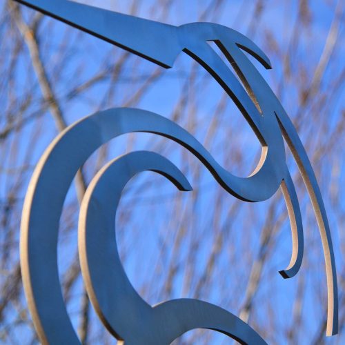 Heron-blue-closeup