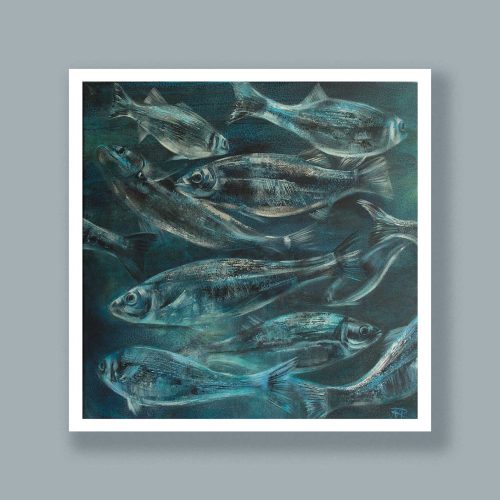 Herring Shoal