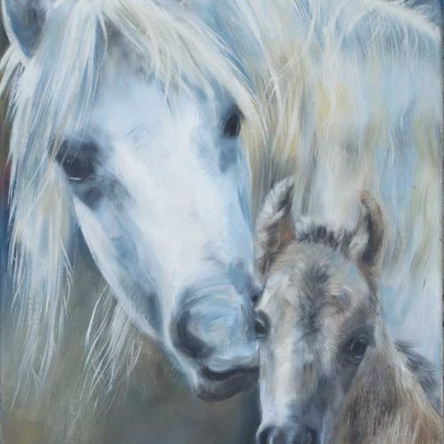 Horse portrait in oils
