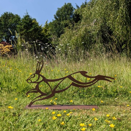 March-hare-wild-meadow